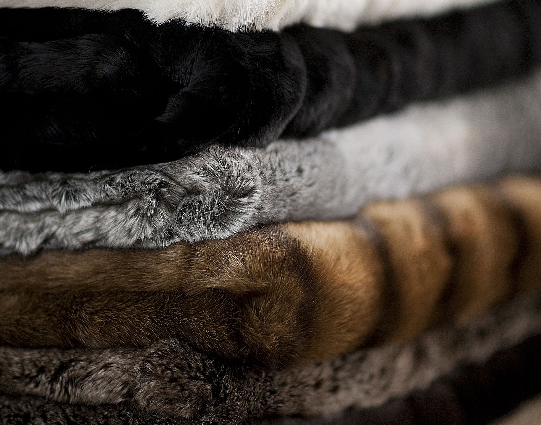 Kissen - Chinchilla Kissen - Chinchilla